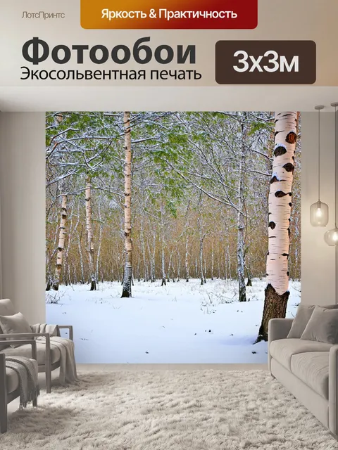 Фотообои зимний пейзаж в березовой роще