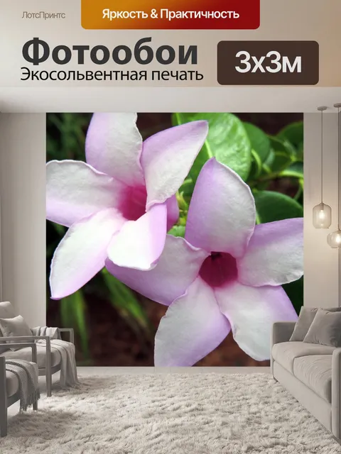 Фотообои розовые цветы