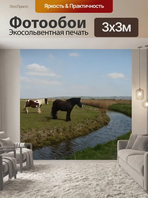 Фотообои Лошади