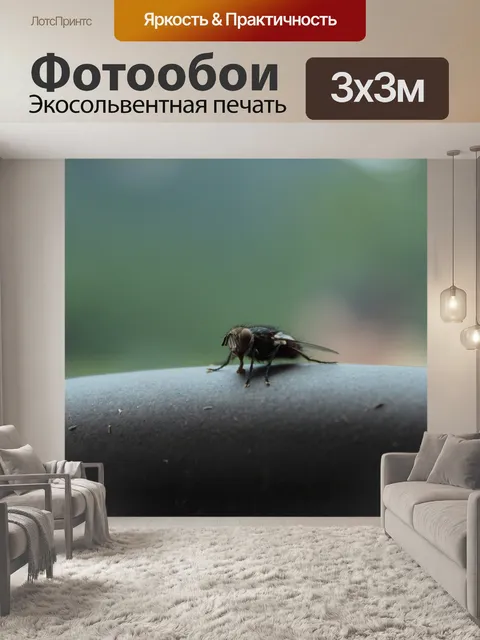 Фотообои Макро фото