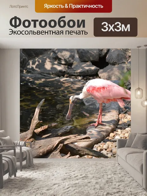 Фотообои Птица