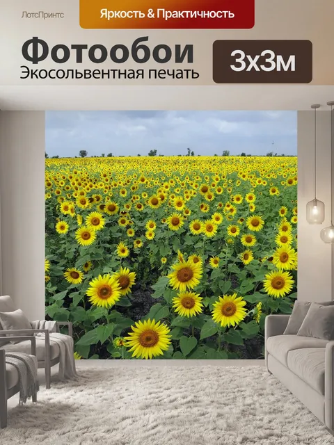 Фотообои Полями подсолнечника