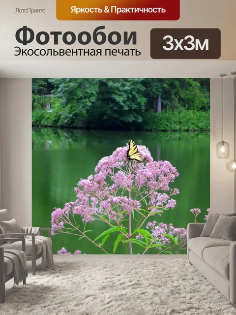 Фотообои Бабочка
