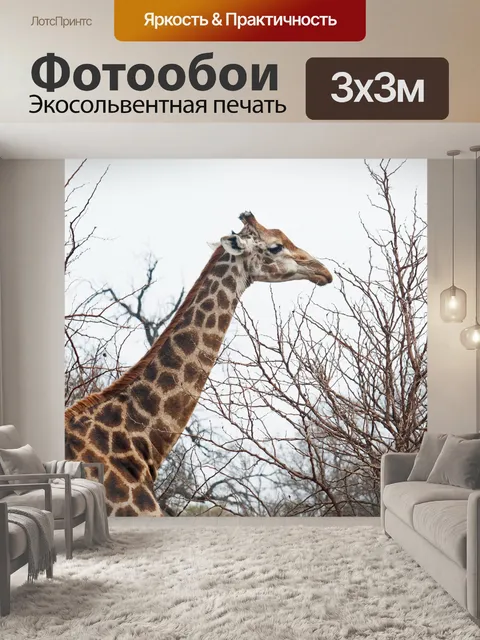 Фотообои изящная голова и шея жирафа