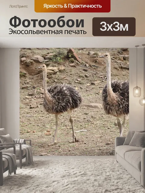 Фотообои Страус
