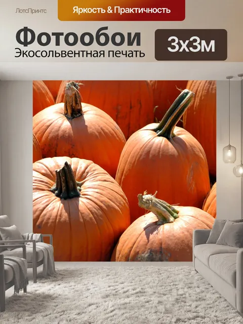 Фотообои Тыквы для продажи
