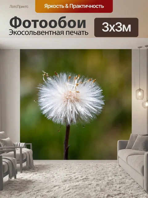 Фотообои Увядший цветок, пух