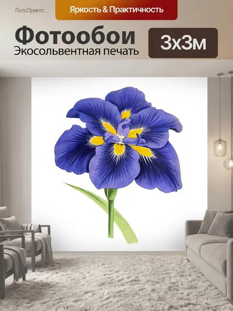 Фотообои Цветок ирис искусство