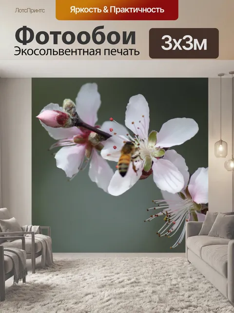 Фотообои Персик цветок в цвету