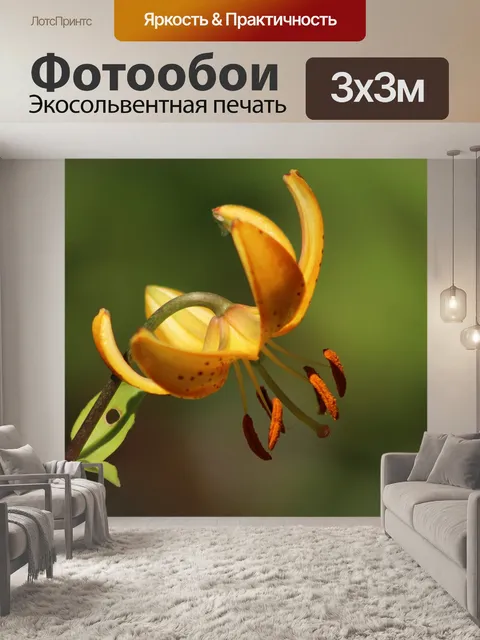 Фотообои Лили