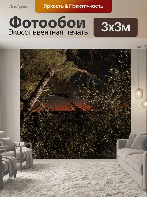 Фотообои Деревья