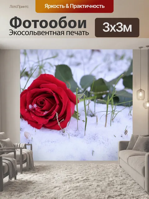 Фотообои Красная роза в снегу