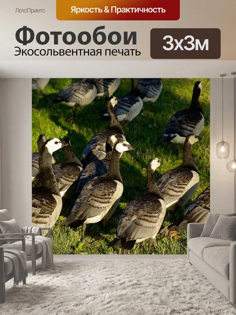 Фотообои Птицы
