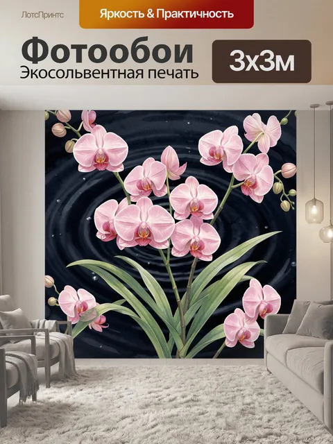Фотообои Розовая орхидея на тёмном фоне