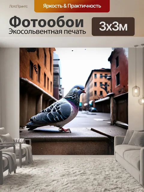 Фотообои голубь с выражительной головой и клювом, замерзший на фоне городской архитектуры, стилизованной под граффити