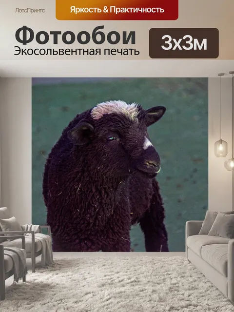 Фотообои ягненок