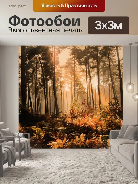 Фотообои Осенний лес