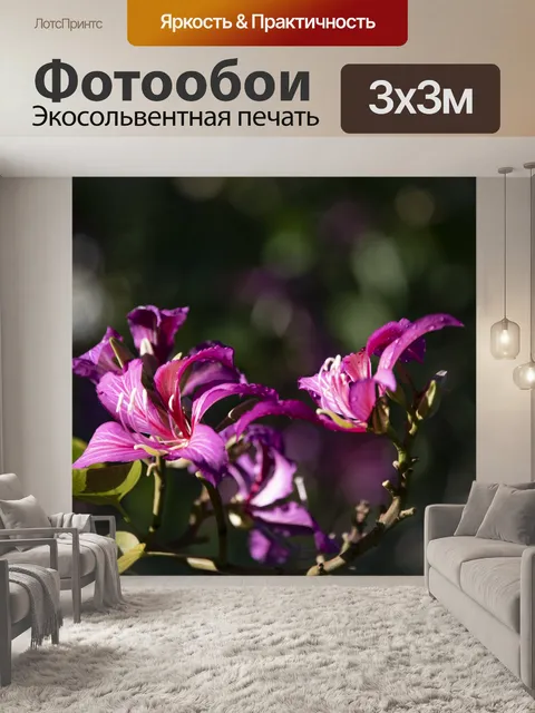 Фотообои Фуксия Цветы