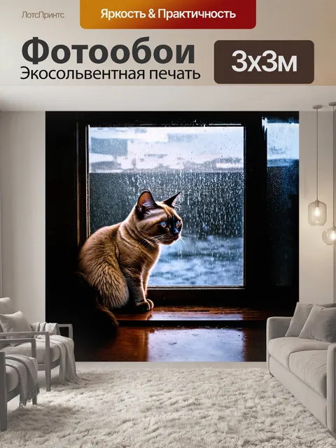 Фотообои сиамский кот, наблюдающий за дождем, который стекает по стеклам, создает атмосферу меланхолии и уединения