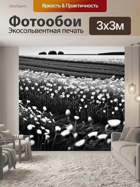Фотообои полевой пейзаж с цветами чернобелый