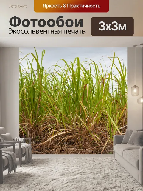 Фотообои Сахарный тростник