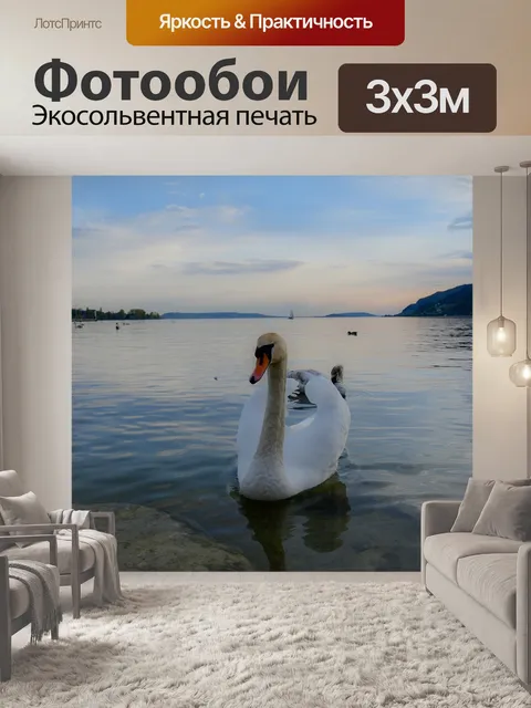 Фотообои Лебедь
