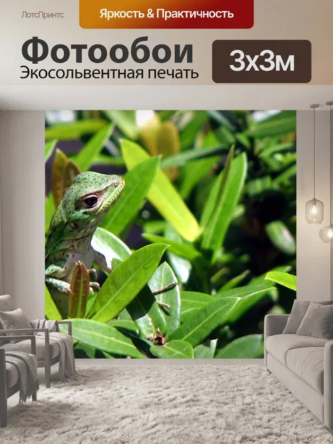 Фотообои Геккон