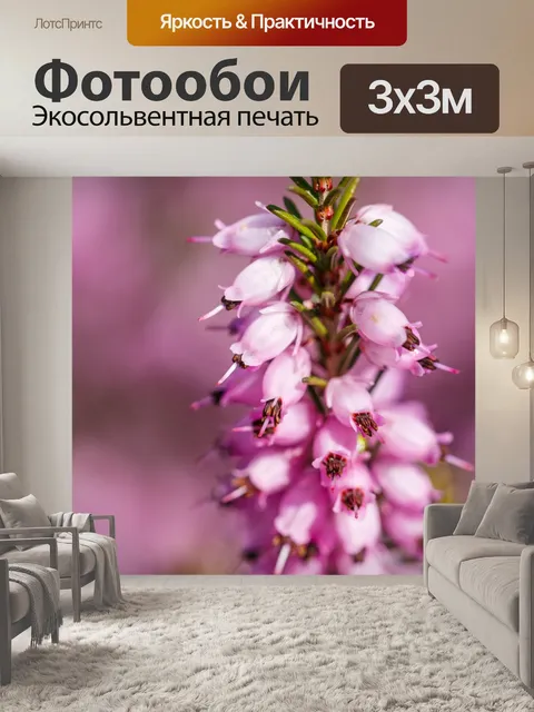 Фотообои Обыкновенный вереск