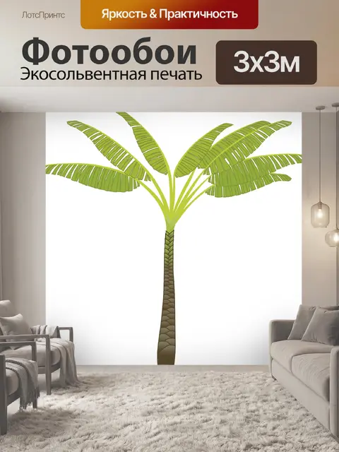 Фотообои Пальма