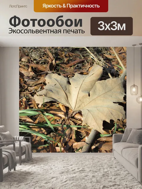 Фотообои Большой лист 1