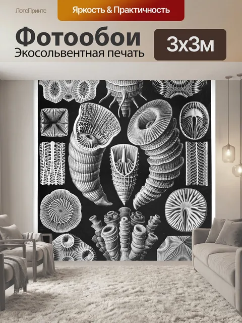 Фотообои Старинный старый Эрнст Геккель