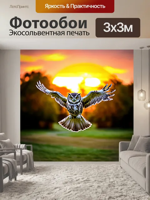 Фотообои сова в полете над зоопарком, с ярким закатом на фоне