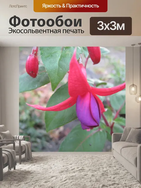 Фотообои Фуксия