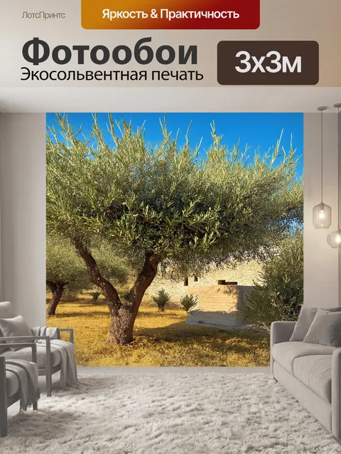 Фотообои греческий пейзаж с оливковыми деревьями, солнечное утро, свет играет на листьях, традиционная хижина