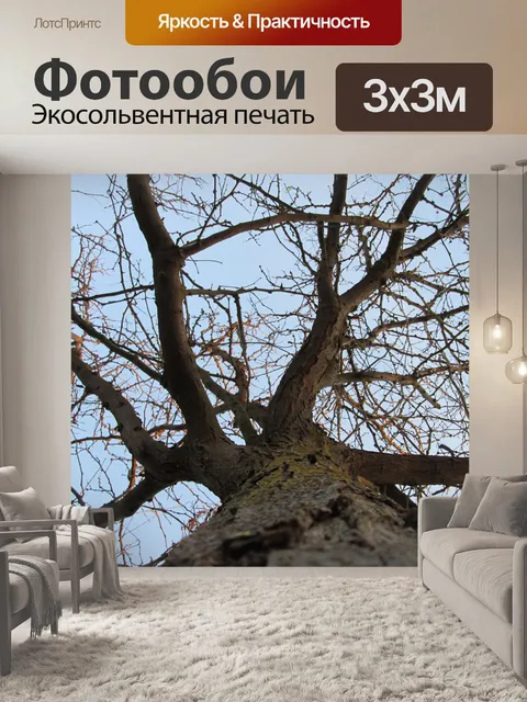 Фотообои Дерево Перспектива 12