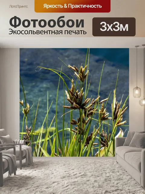 Фотообои Высокотравные растения
