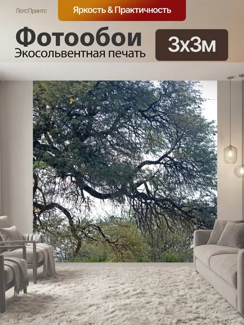 Фотообои стройные ветви дерева и листьев