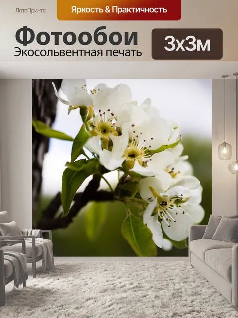 Фотообои Расцветает