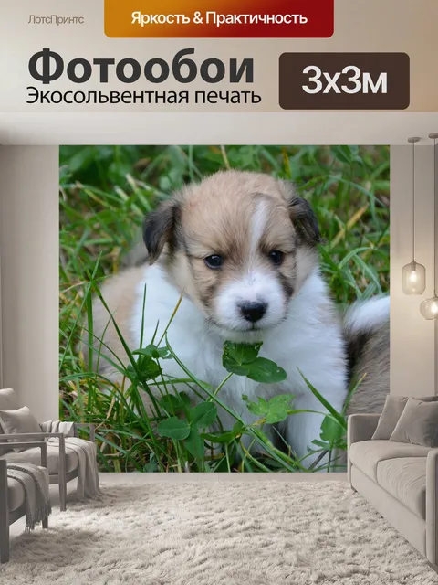 Фотообои Щенок