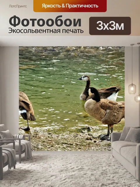 Фотообои Три гуся на краю озера