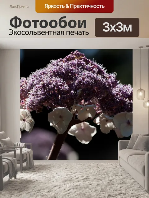 Фотообои Бархат гортензия