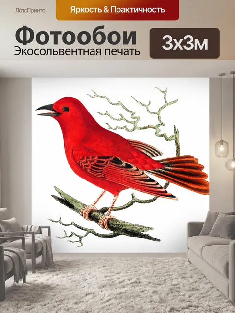 Фотообои Птица тропических старинных искусства