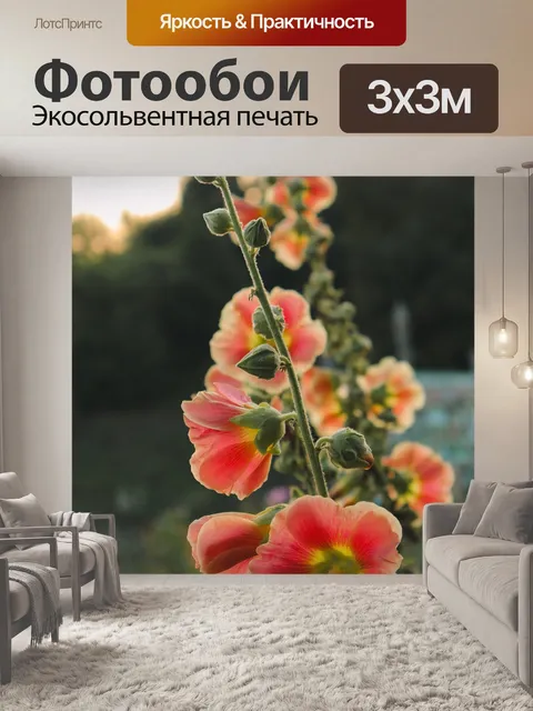 Фотообои Цветы