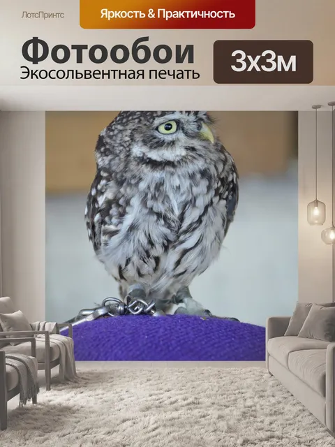 Фотообои Карлик ооо