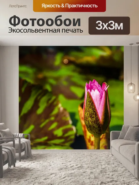 Фотообои красивый цветок лотоса