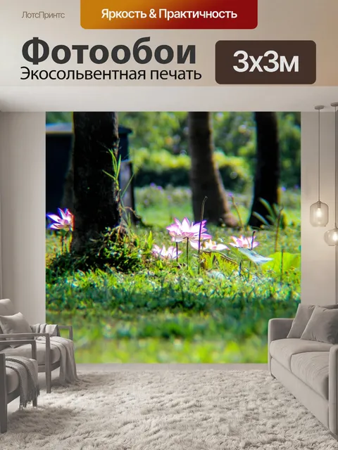 Фотообои Лотос
