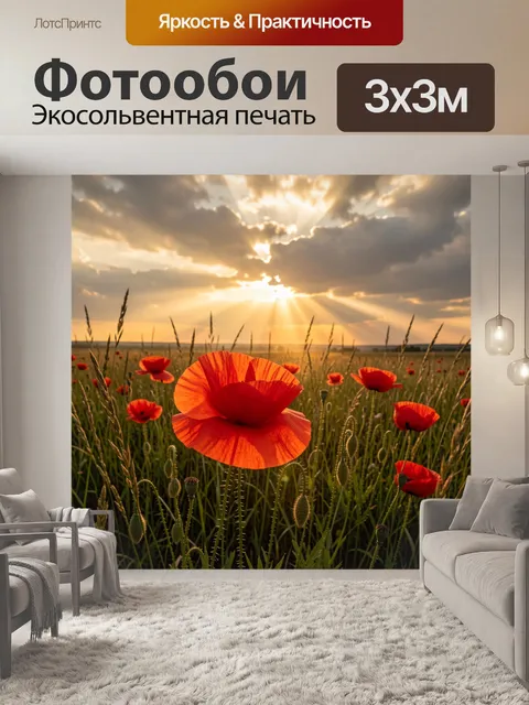 Фотообои Маки в поле на закате