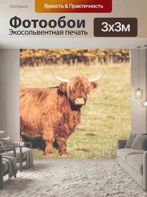 Фотообои Горный скот