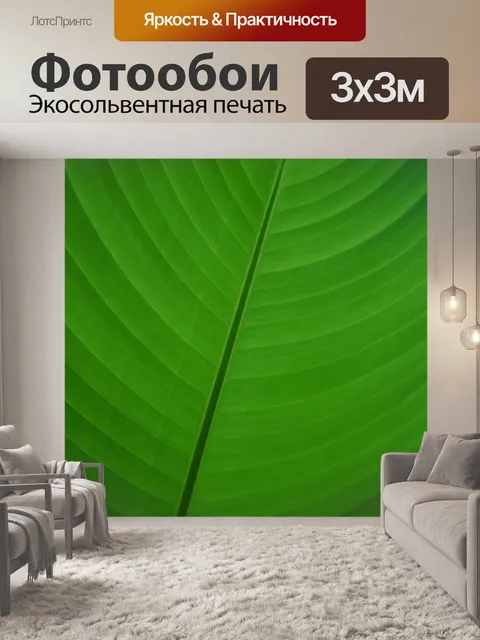 Фотообои Лист