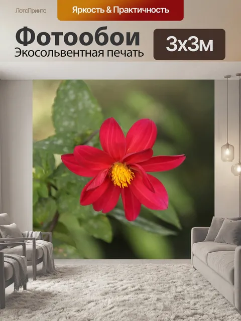 Фотообои Цветок